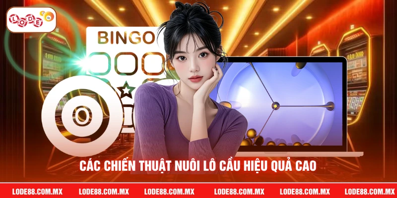 Các chiến thuật nuôi lô cầu hiệu quả cao