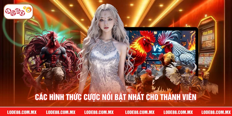 Các hình thức cược nổi bật nhất cho thành viên